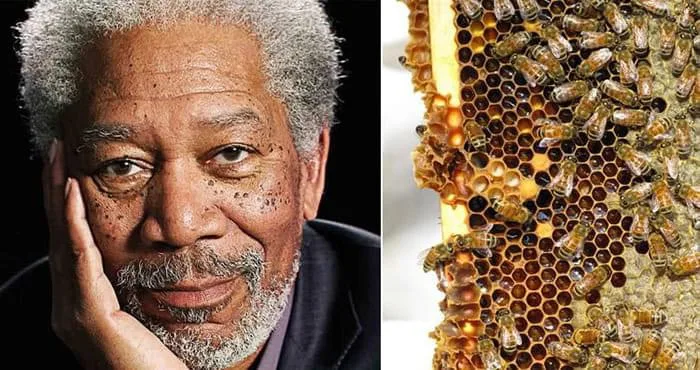 Morgan Freeman has turned his farm into a home for bees.