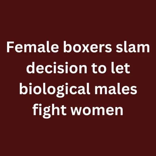 Female boxers slam decision to let biological males fight women