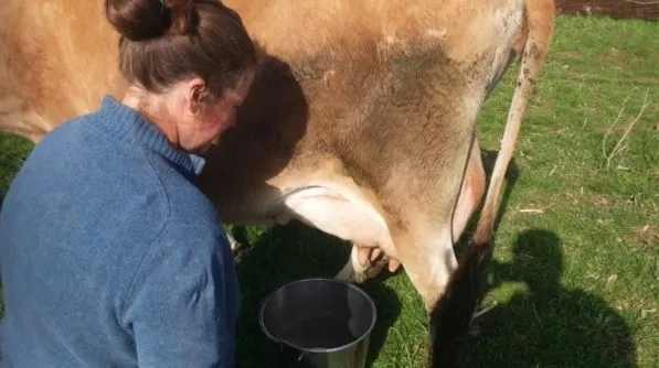 “I used to milk cows, today I’m on the Miss USA jury” The model gives a message to every girl