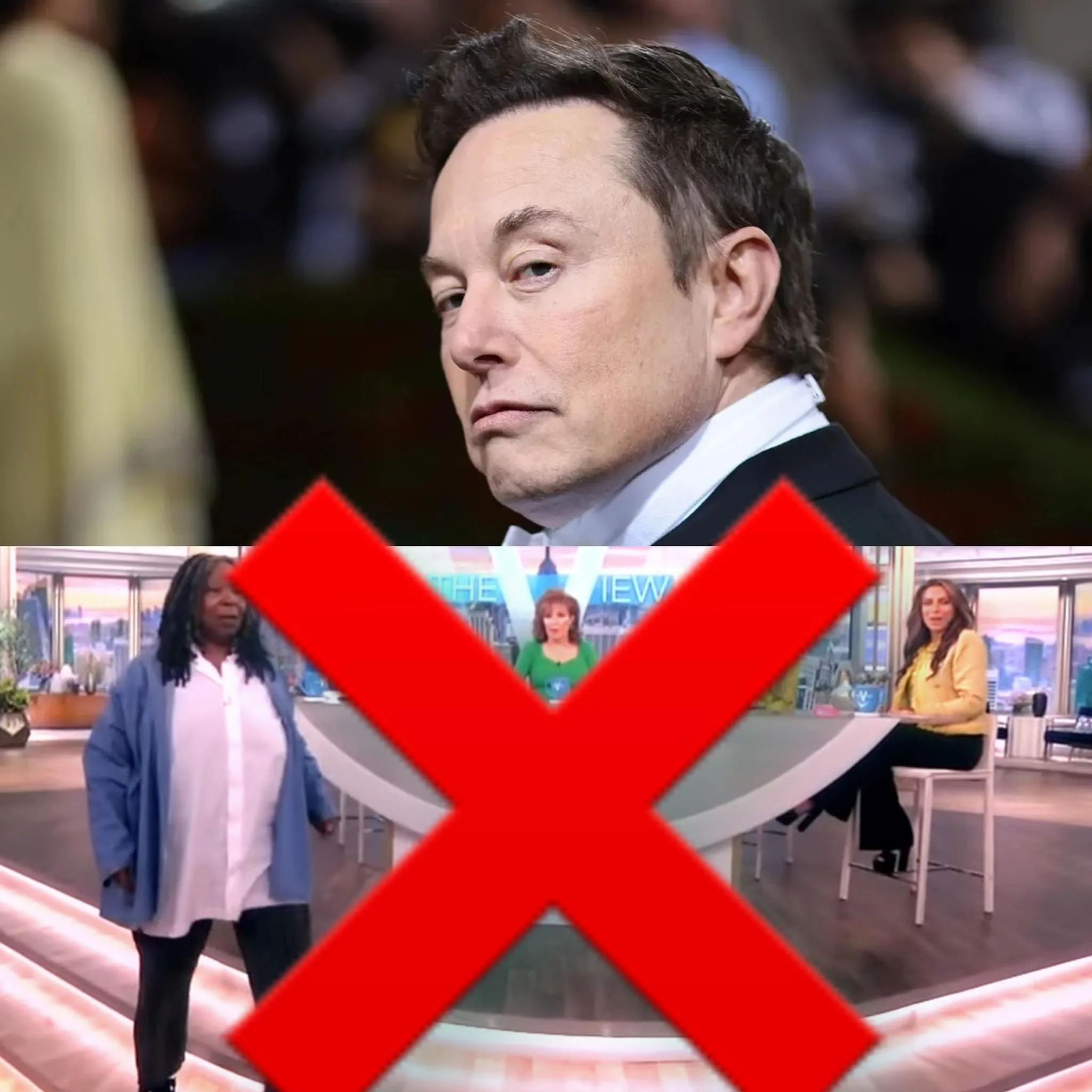 “Elon Musk Buys ABC, Cancels The View”