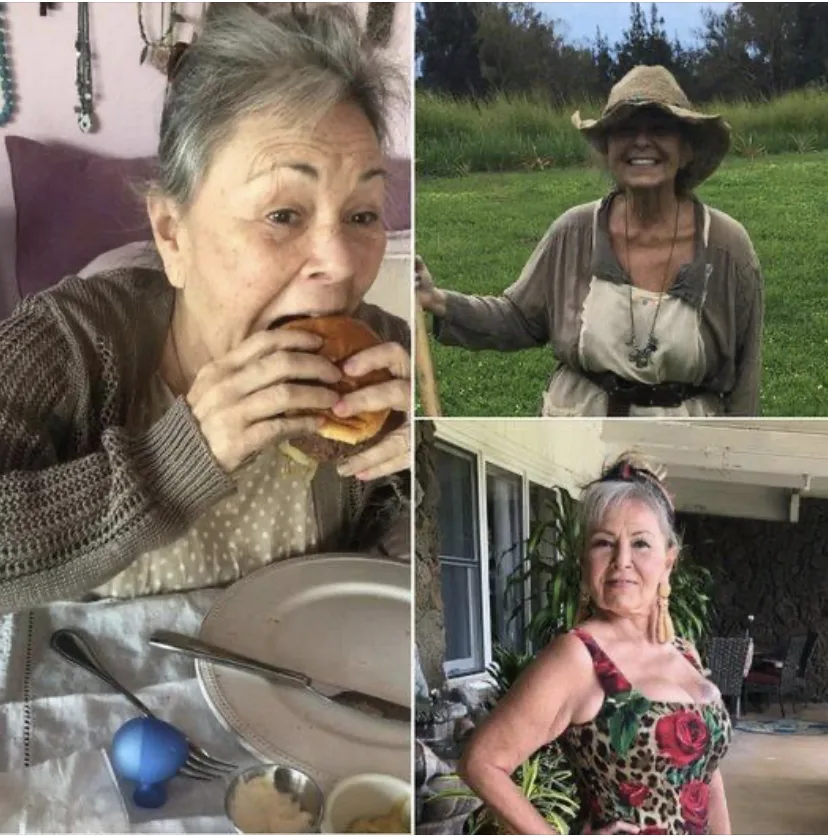 Fans say Roseanne Barr’s living situation is a ‘mess’ after star posts photo of bed