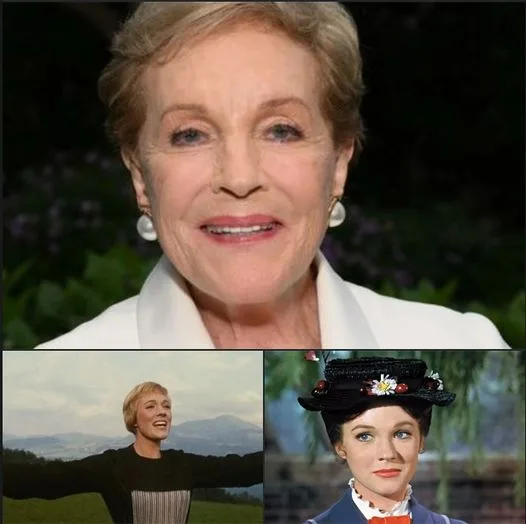 Julie Andrews makes rare public appearance at 87, and everyone’s saying the same thing