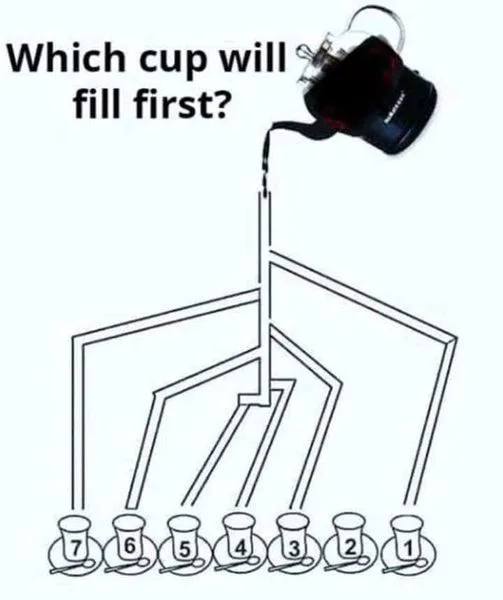 Only Special People Know Which Cup Fills First