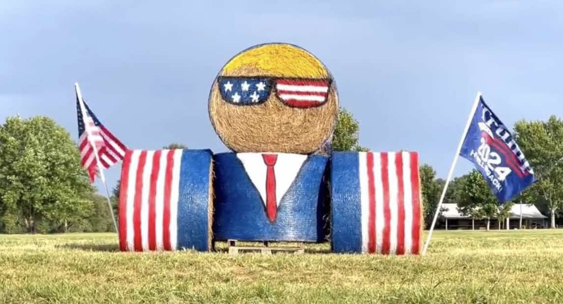 Local farmer Carl Wise, 67, has taken patriotism to new heights